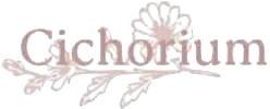 Šicí dílna Cichorium